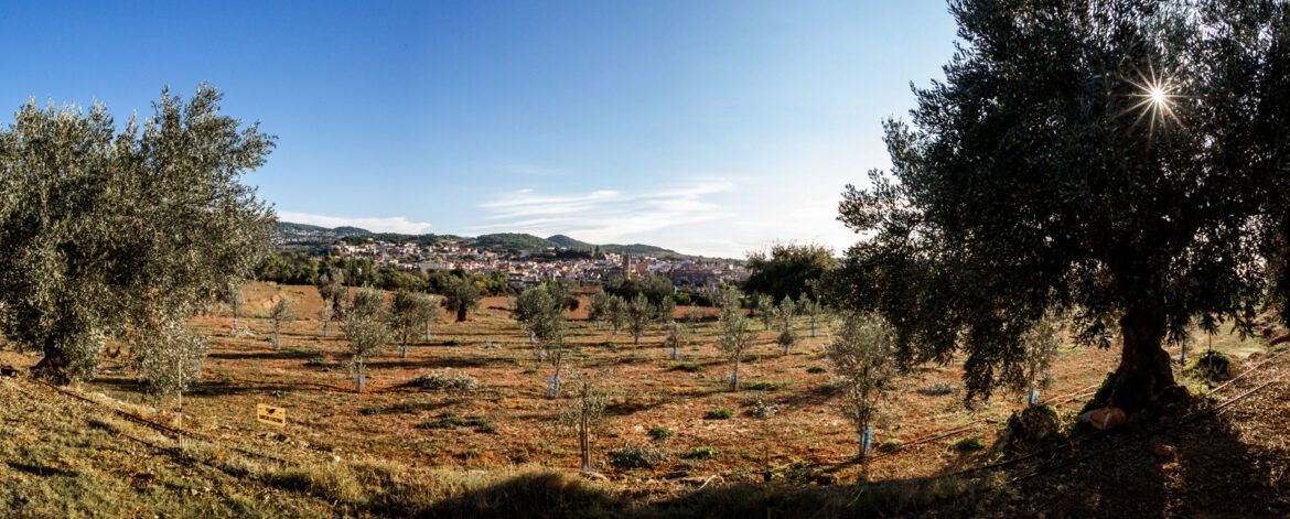Finca d'Agrícola Mas Curró (Caldes de Montbui)