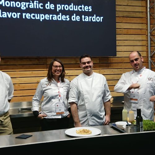 Difusión del oli de la variedad Vera dell Vallès (10)