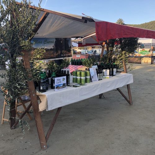 Difusión del oli de la variedad Vera dell Vallès (13)