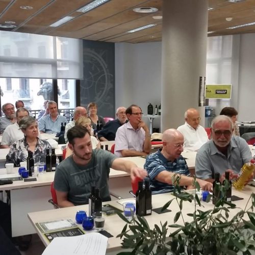 Difusión del oli de la variedad Vera dell Vallès (19)