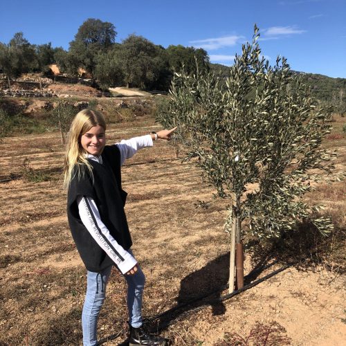 Finca visitable (15)